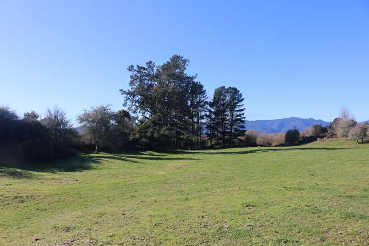 449 Kopuriki Road Murupara Surrounds_11