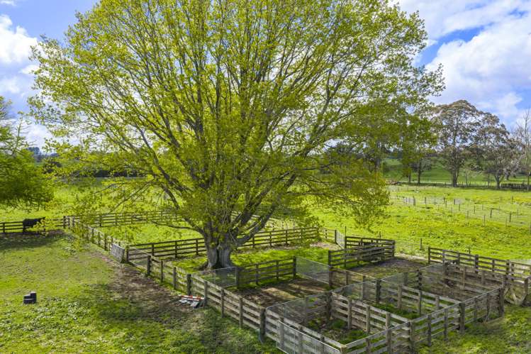 26 Goile Road Ngahinapouri_1