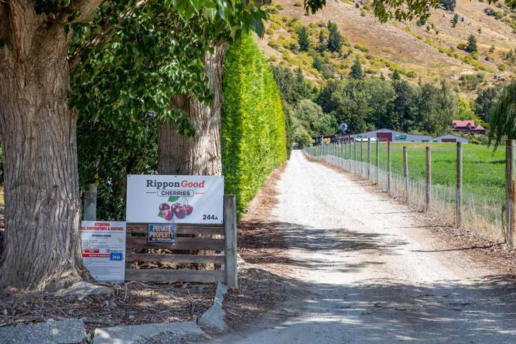 244A Ripponvale Road Cromwell_25