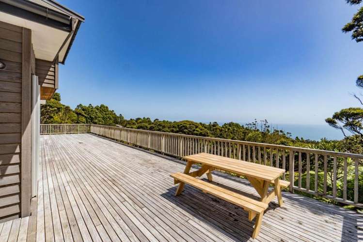 138 Piha Road Piha_16