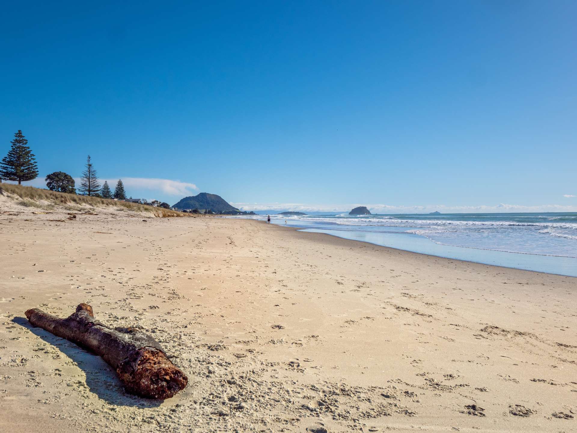 217A/B Oceanbeach Road Mt Maunganui_0