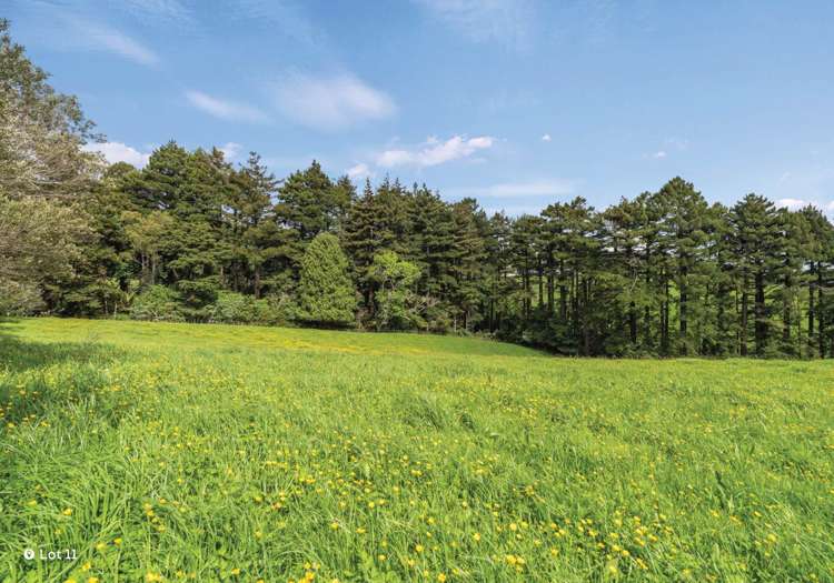 20 Bush Road Pukekohe East_22