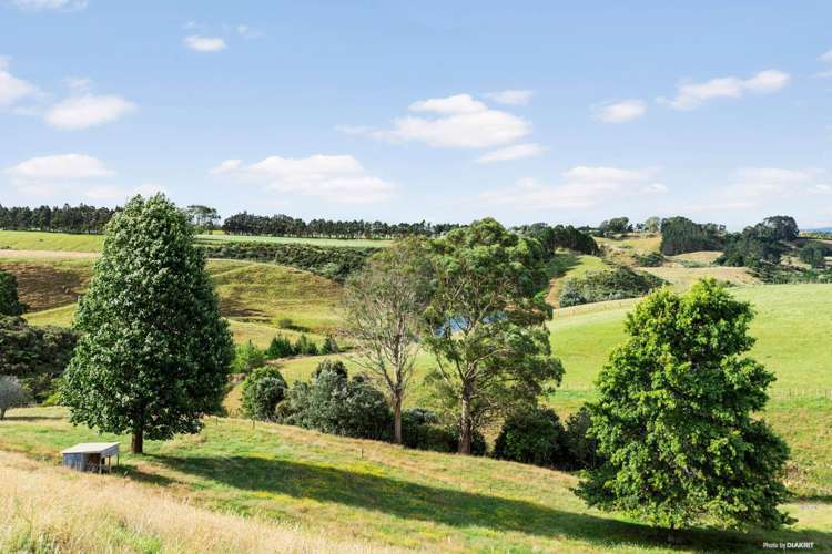 201 Kauri Road Onewhero_20