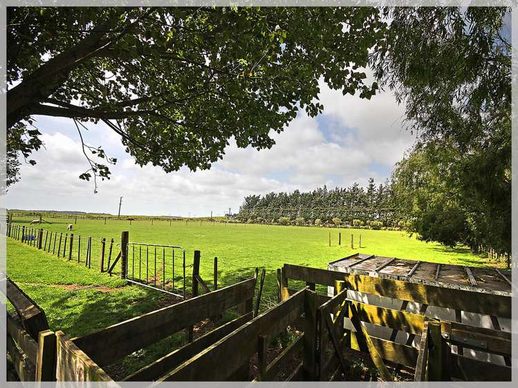 296 Motuiti Road Foxton_22