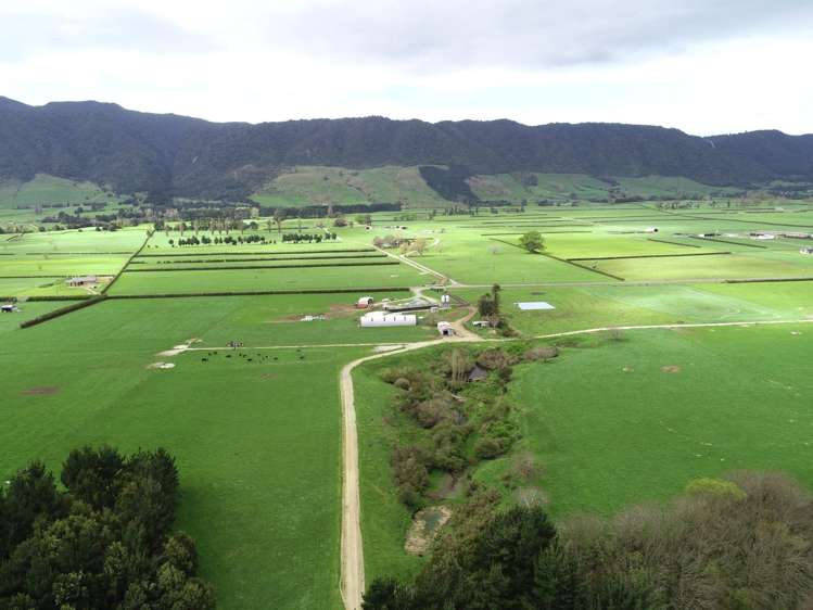 12/1212A Tower Road Matamata_1