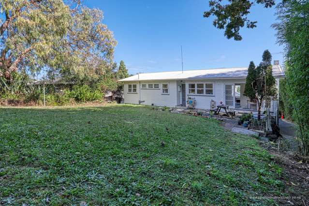 17 Robson Street Mount Roskill_1