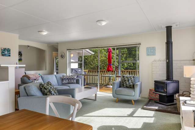 64 Kaiuru Avenue Pukawa_4