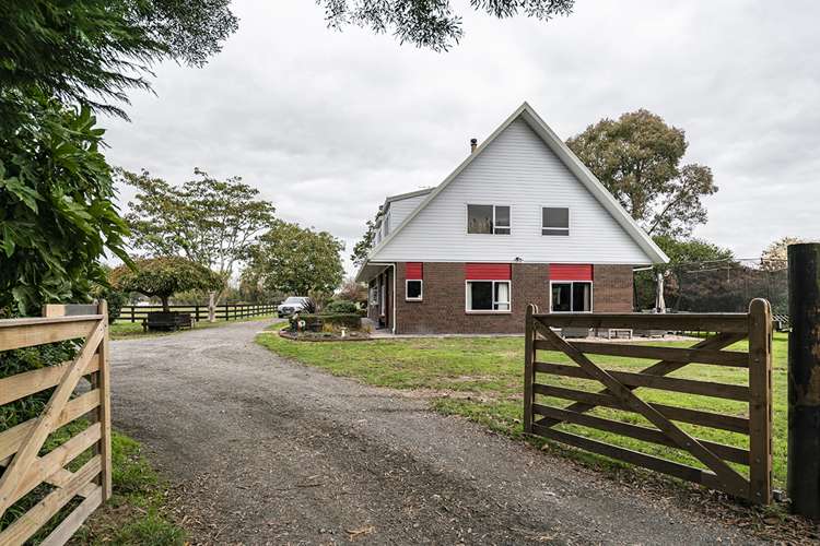 195 Hautapu Road Pukemoremore_23