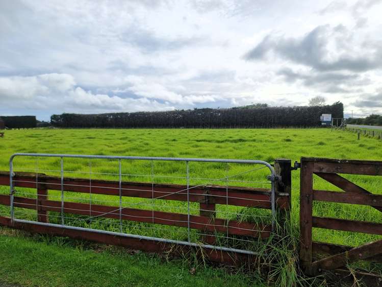 6453 State Highway 12 Dargaville Surrounds_24