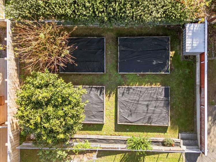 3b Hilltop Road Parkvale_10