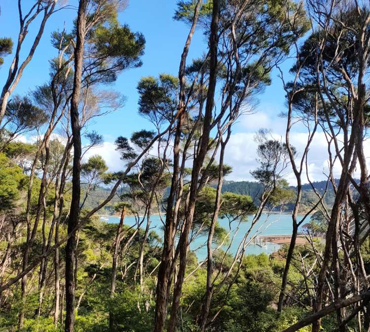 Lot 282/Lts 2-5 Smelting House Bay Kawau Island_10