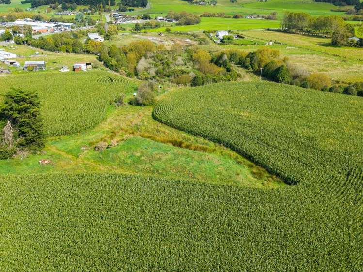 Coonoor Road Watlington_7