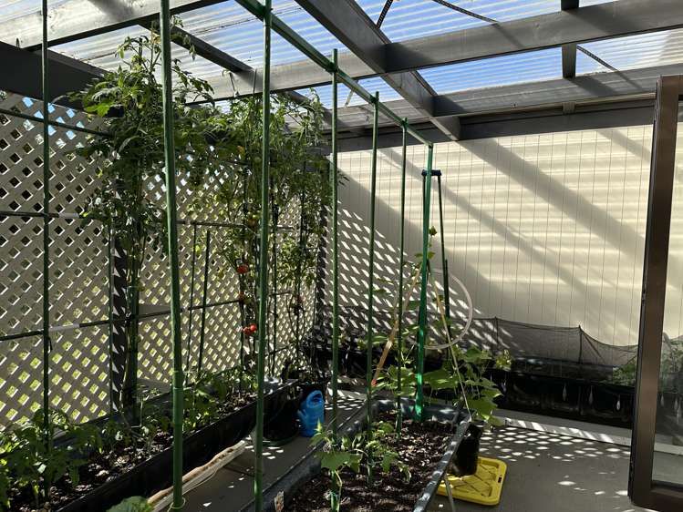 2 Northwood Avenue Pukenui_26