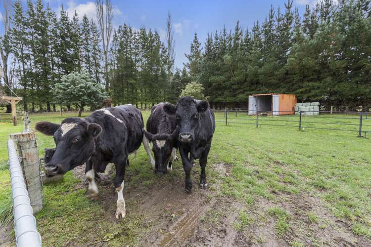 28 Lambies Road Scargill_10