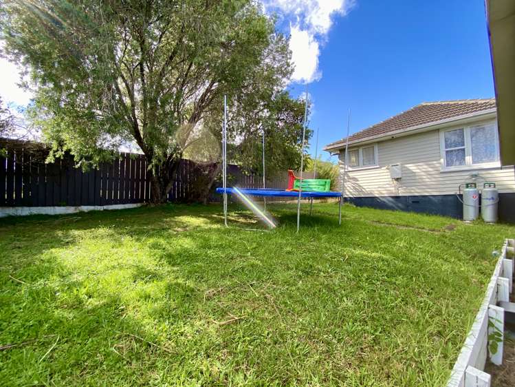 104 Webster Avenue Mount Roskill_17
