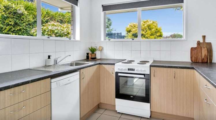 41 Sherwood Street Bellevue_5