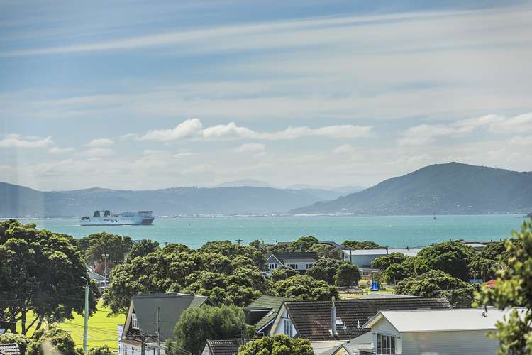 4 Pinnacle Street Seatoun_1