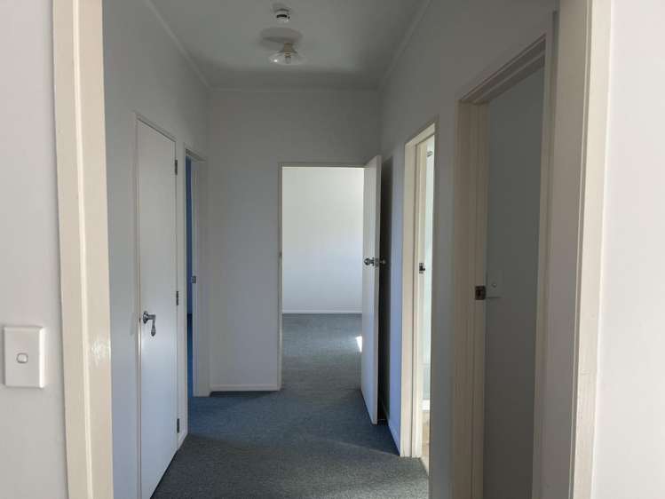 3/20 Terrace Avenue 11229_15