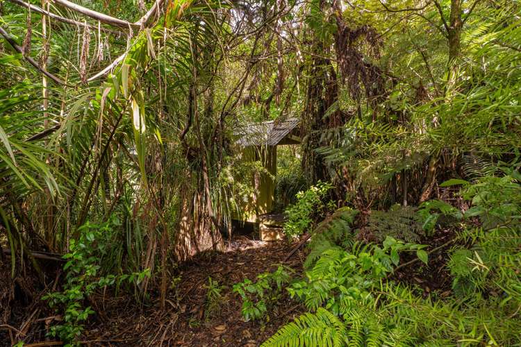 974 The 309 Rd Whitianga_15