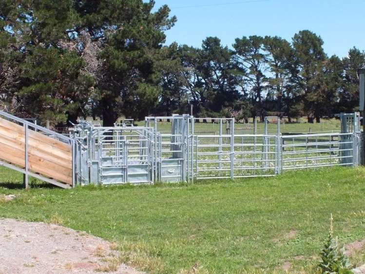 55 Costellos Road Hawarden_16