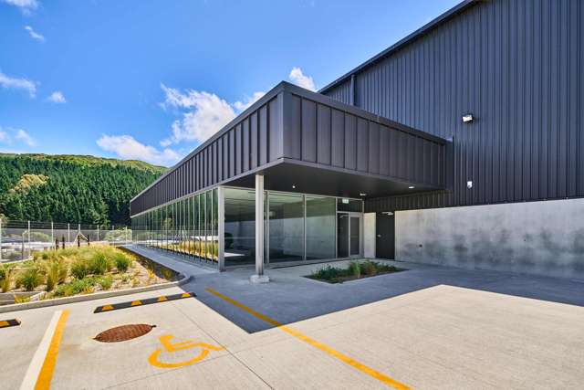 3A Kinleith Grove Kenepuru_4