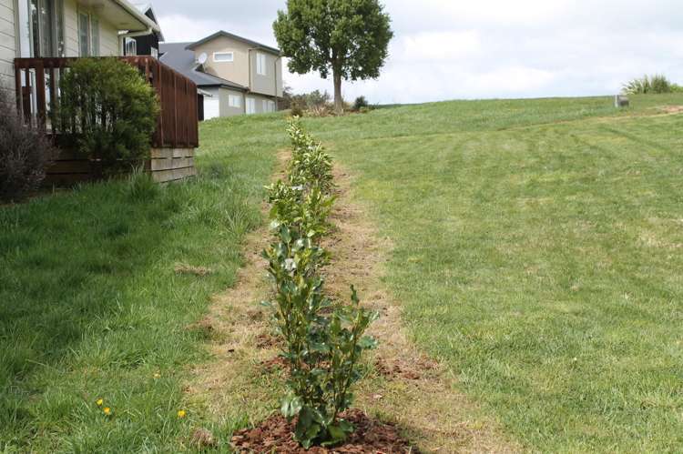 20 Kowhai Heights Ohakune_7