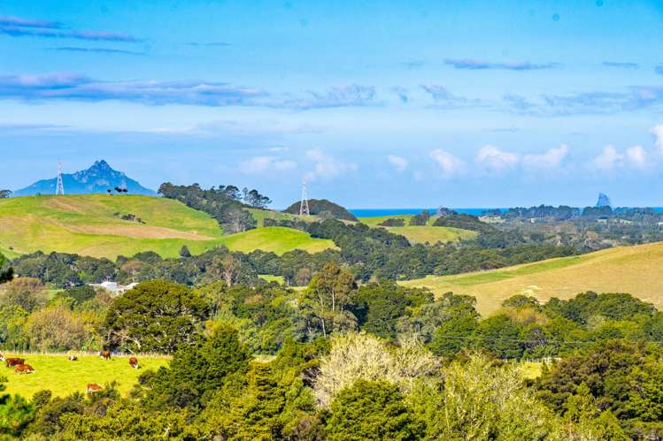 917 Waipu Caves Road Waipu_32