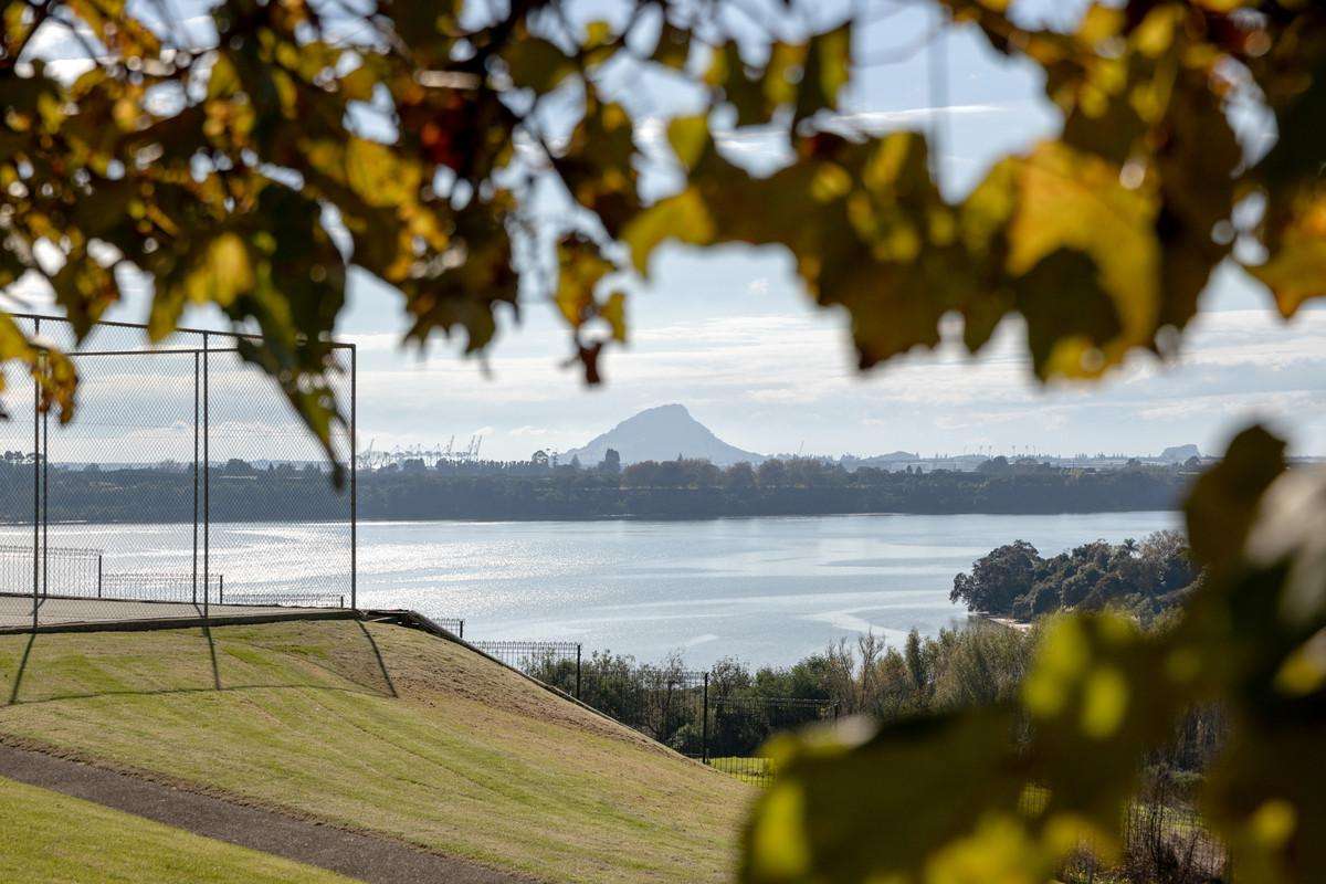 14/674 Ranginui Road_0