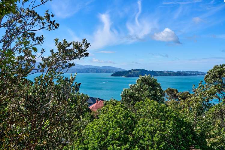 116 Homebush Road Khandallah_2