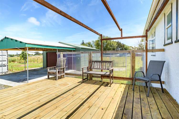 25 Flower Street Bulls_12