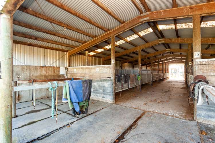 1463 Alexandra Road Waharoa_5