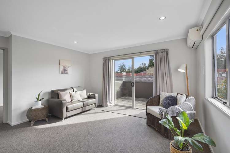 15C Charlemont Street Whitiora_8