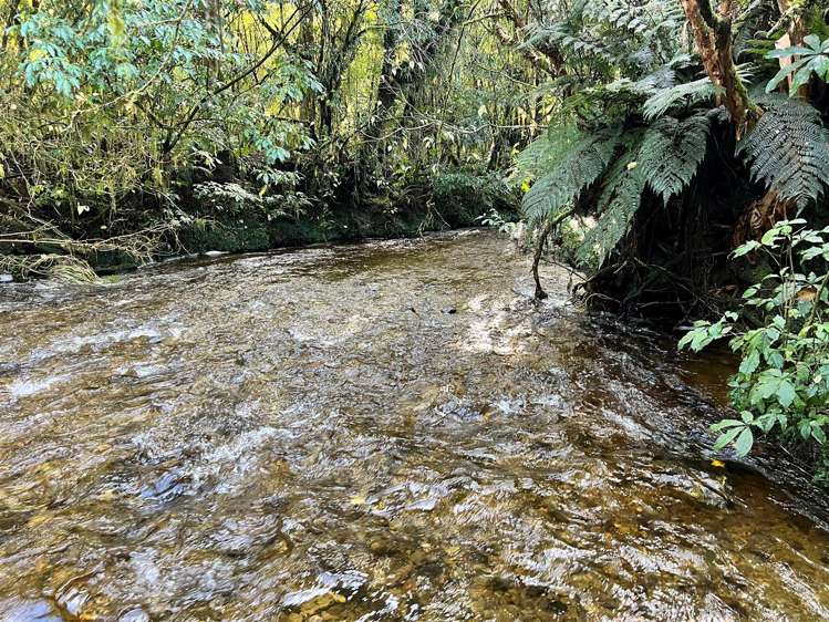 Haupiri Road, Haupiri Moana Nelson Houses for Sale One Roof