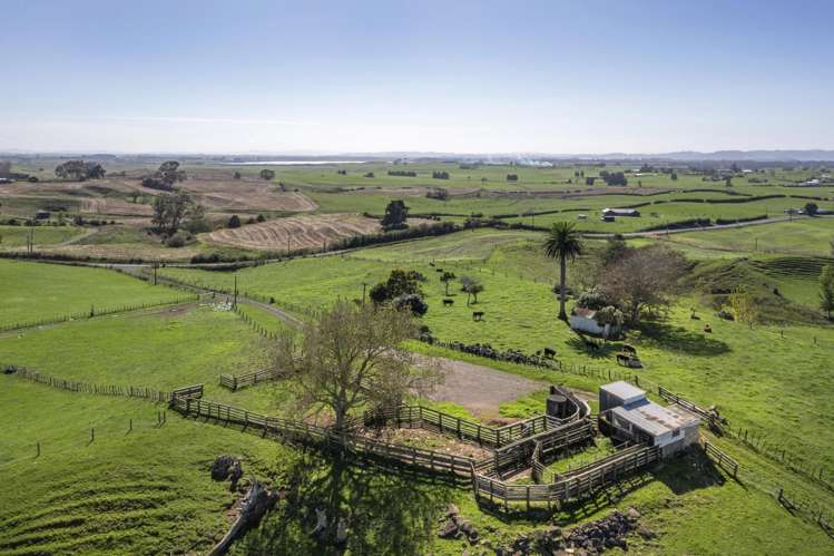 579 Hetherington Road Rotongaro_15