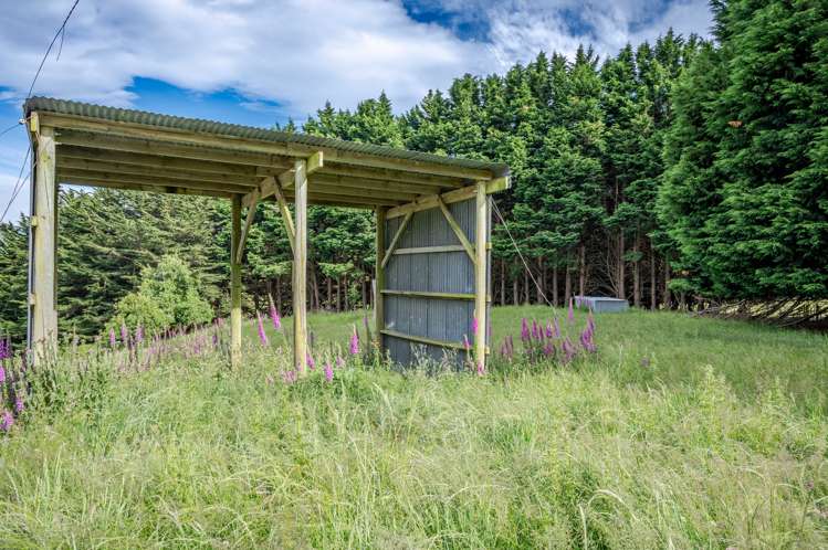 350 Pigeon Bay Road Pigeon Bay_8