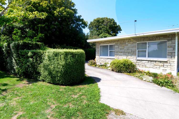 19 Hinaki Street Inner Kaiti_18