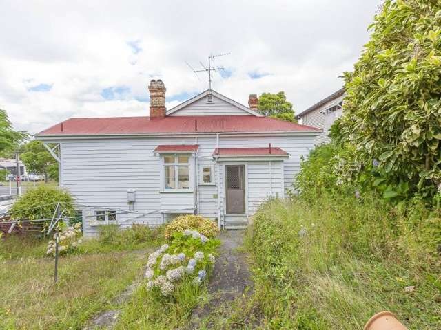 123 Williamson Avenue Grey Lynn_2