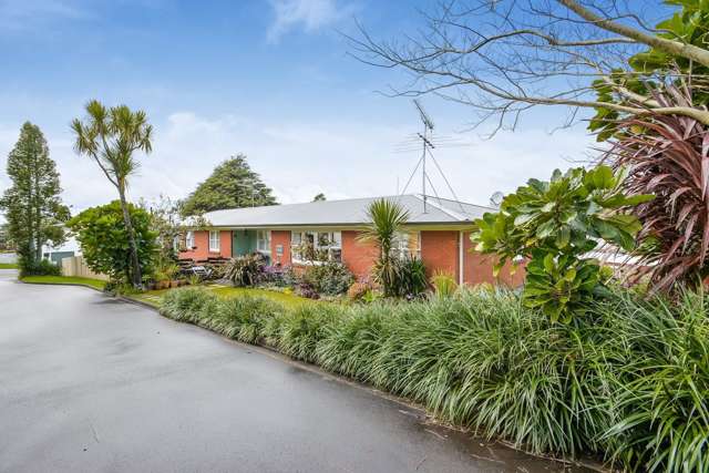 48 Helvetia Road Pukekohe_2