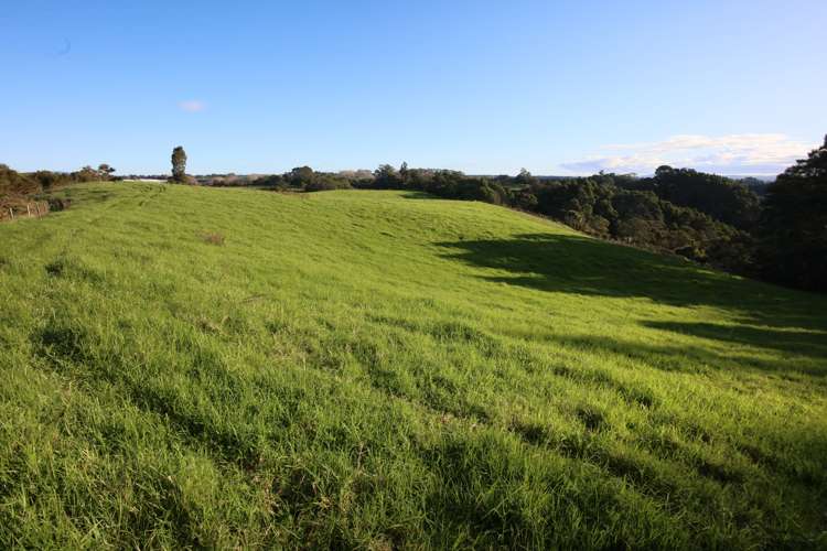 Maniatutu Road Pongakawa_9