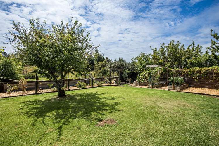 36 Draffin Road Poroti_25