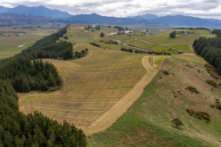 Delta Lake Heights Renwick_14