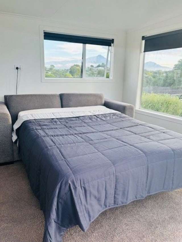 92 Mangorei Road Strandon_2