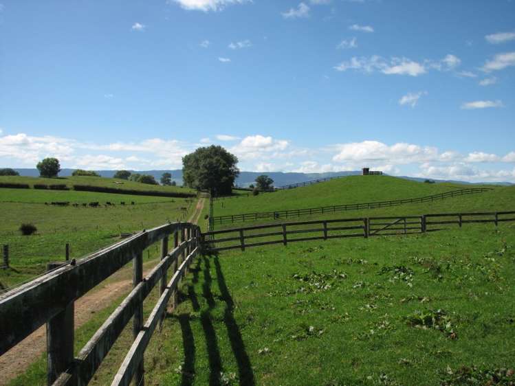 205 Gunn Road Waharoa_2