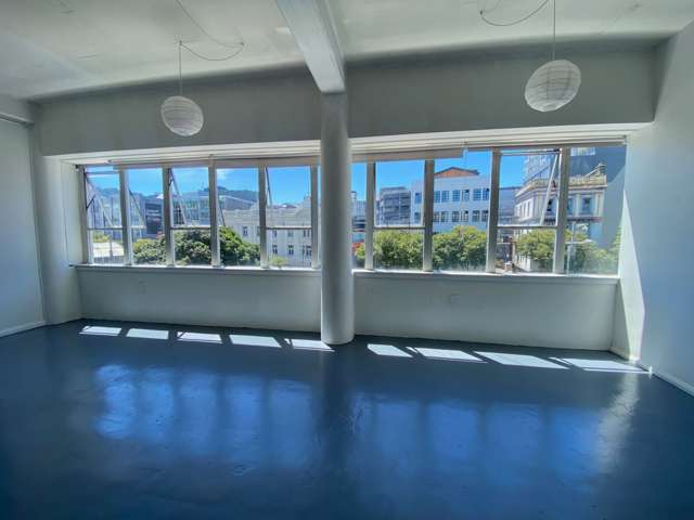 25 Dixon Street Te Aro_4