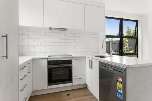 14 Puhua Lane Mount Roskill_2