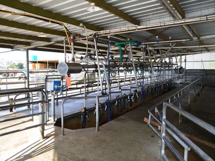 233a Papawai Road Greytown_16