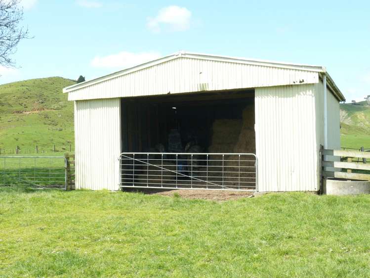 351 Bull Road Paparoa_17