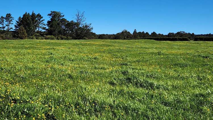 Lot 1,2,3/699 Durham Road Upper Norfolk_1