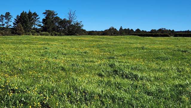 Lot 1,2,3/699 Durham Road Upper Norfolk_1