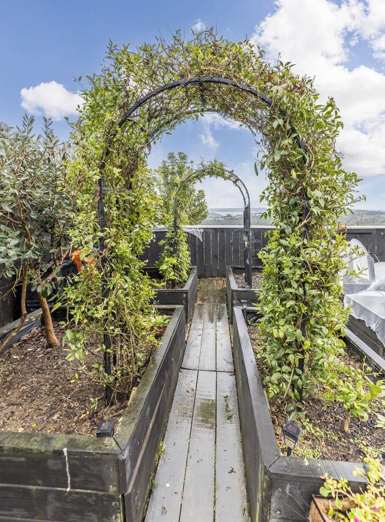 128 Conclusion Street Ascot Park_16